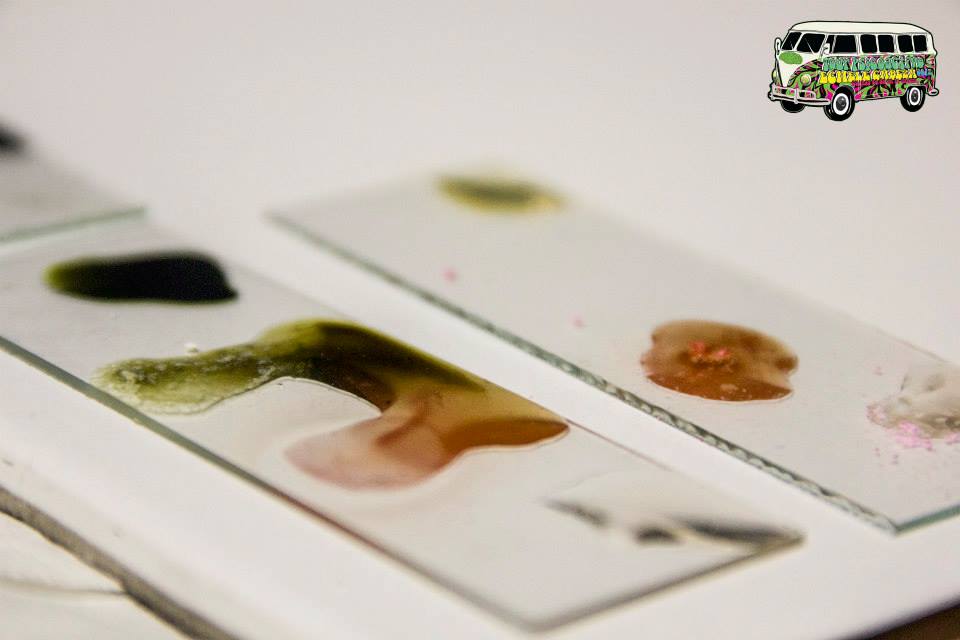 11046219_744392115658589_8008289831923396515_n