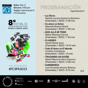 18 2608 Experimental3 2