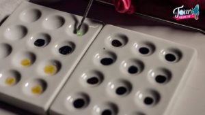 24831261 1463863347044792 6280332162173088915 o