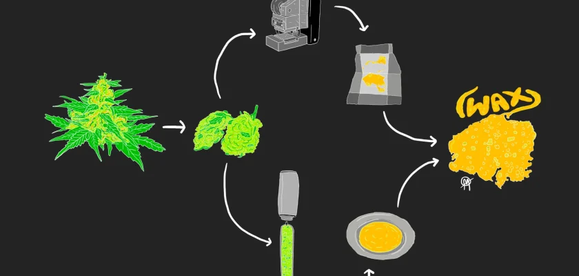 cannabis-wax-y-otras-extracciones-lease-bien-antes-de-usar