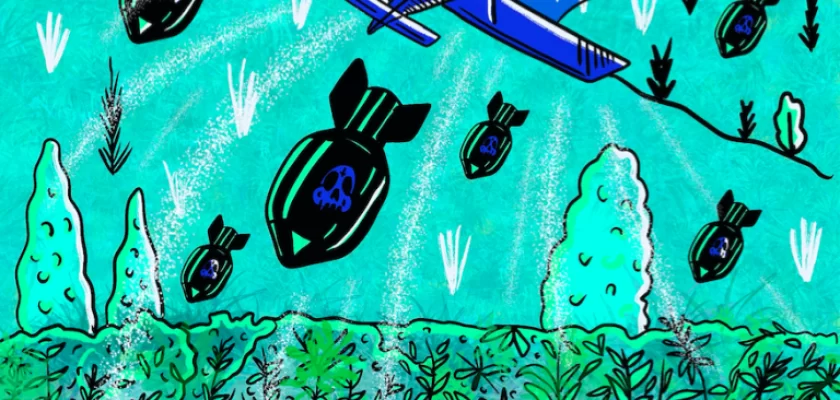 entre-el-fusil-y-el-glifosato