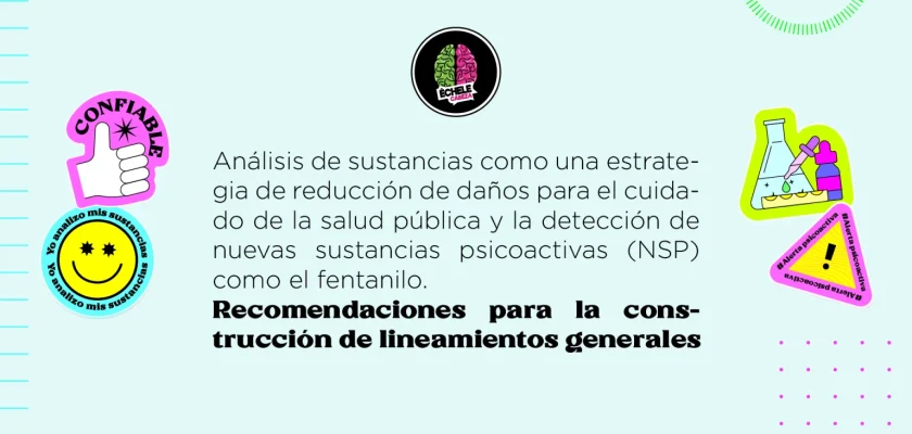 Lineamientos_SAS_PortadaWeb-1