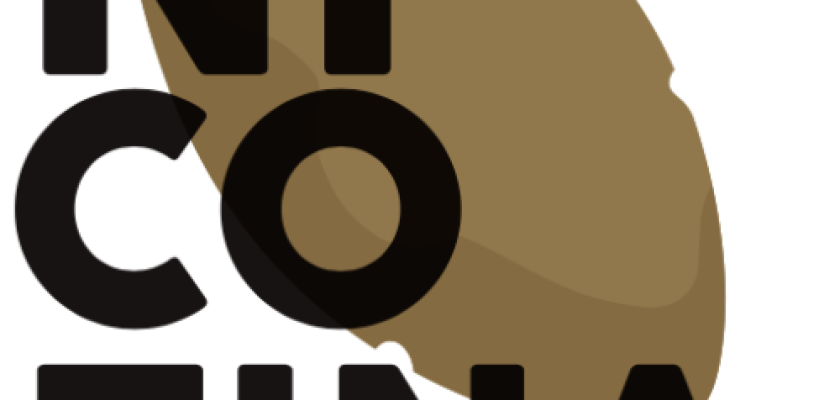 reduccion-de-riesgos-y-danos-para-el-consumo-de-nicotina