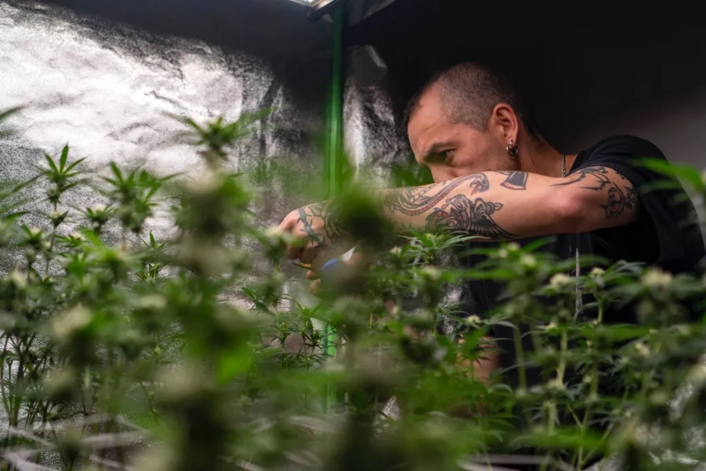 WhatsApp Image 2025 03 19 at 15.01.59